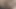 Kıvrımlı esmer mastürbasyon yapmak için favori sikme oyuncağı kullanır