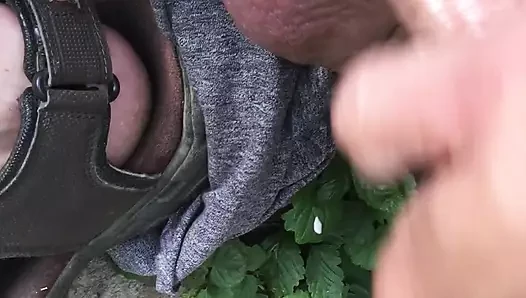 Büyük yarak kısa orman boşalması