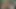 Video 15