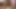 Sıska Asya twink emdi ve barebacked içinde cumshot 3some