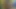 Beyaz twink alır the en iyi oral seks itibaren onun siyah arkadaş