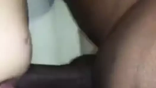 Köpek am kahrolası bbc