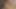 Heißer Interracial Sex mit wilder Penetration