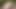 Porno penelope lynn queening samantha rone
