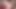 Miko naylon 3d hentai - ayakta domaltmalı büyük göt, bağlı sikişi kaldırma, sansürsüz animasyonda misyoner dölleme