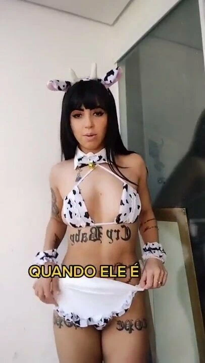 Alice vaquinha