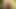 Eşsiz bir horoz sağma deneyimi sunan milfs