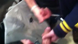 Bir dükkanda adamla mastürbasyon yapıyor - branle dans un magasin