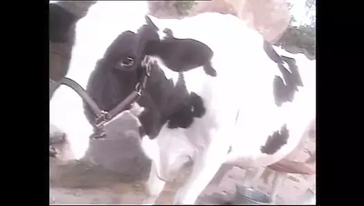 Gottinnen der lust 2 - bölüm 1