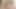 Rüya travesti - tbabes tam eşek sondajlar derleme olsun