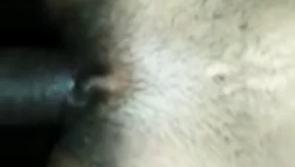 Karım sevimli küçük sıkı kedi