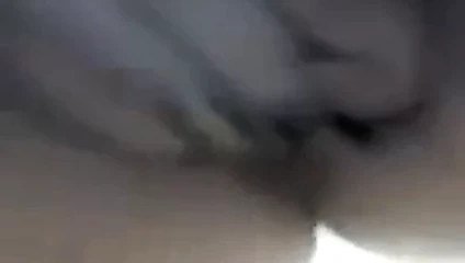 Karavan parkı toni 2