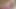Kalın götlü orta yaşlı seksi kadın ivy mae çıplak yoga ve mastürbasyon