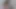 Süper seksi shanice luv büyük dildos ve dukes dollz oyuncaklar ile oynuyor