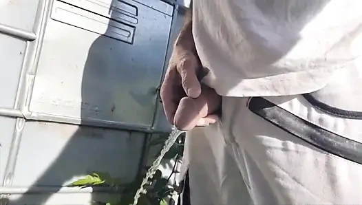 Sidik pisua derlemesi