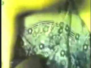 Mısır kedi 3 prens 2010