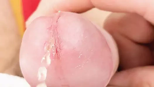 Etwas Pipi,  etwas Sahne