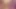 Piggy Rose büyük ayı ve lucipork ile xbiz miami'de yayın yapıyor