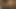 2 sarışın yarak paylaşıyor
