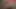 Tattoo Milf reitet Dildo und den geilen BBC