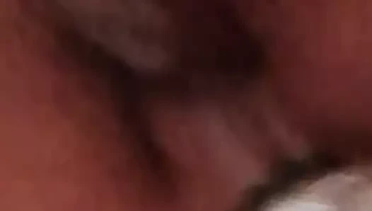 canlandırıcı kedi