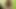 Büyük güzel Asyalı kız televizyon tamircisiyle seks yapıyor