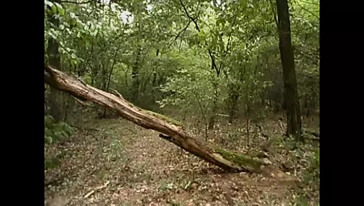 Topf sklaven (tam film)