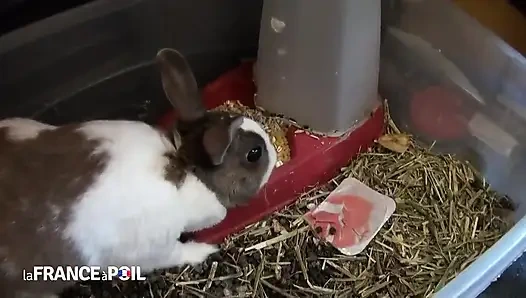 Zenci orta yaşlı seksi kadın parktaki röntgenciyi sikiyor