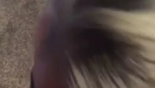 Şaşırtıcı memeler sarışın berbat bir dev horoz