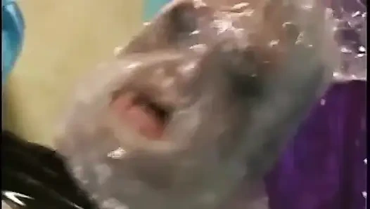 Dominant lateks piliç adamından sert sikişiyor