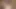Tara lynn foxx teaser 6