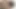 Nitelikli dudakları ve dili bu küçük yarağı mutlu etti