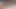 Küçük Asyalı yarak emiciler (bölüm 19)