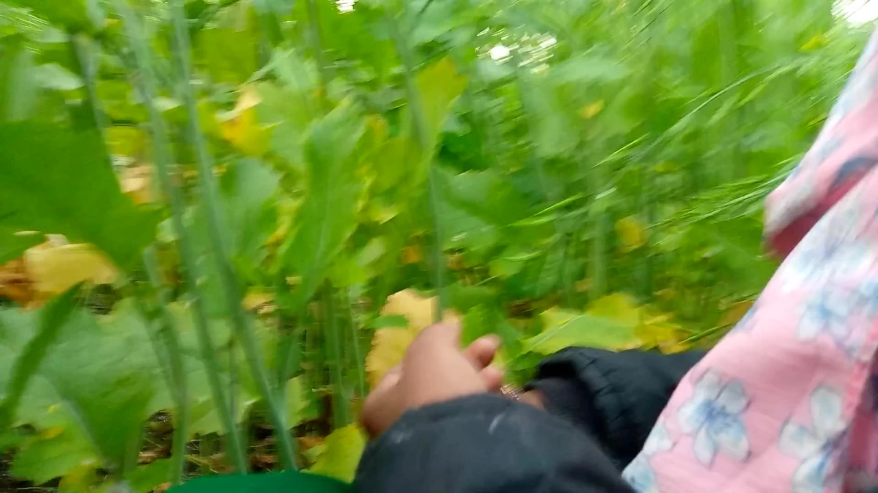 भारतीय देसी सास मोंम  कि सेक्स वीडियो खेत में  जमाई सास द्वारा xxx videos