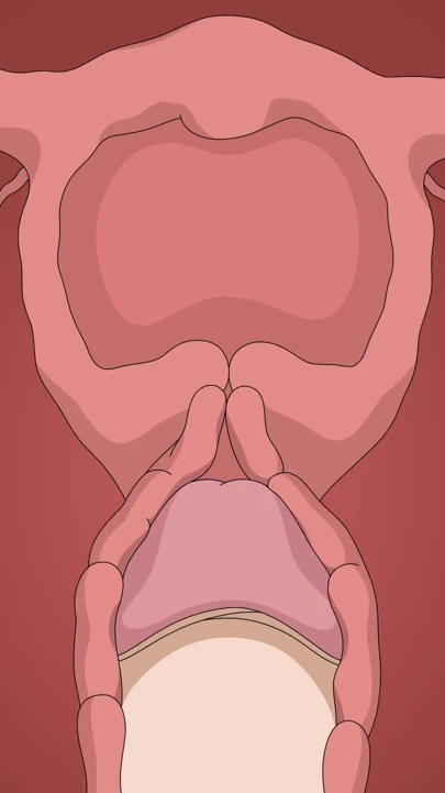 KUSHINA MILF ANAL CREAMPIE tam video Naruto hentai | Klip 1