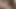 Oral seks, kedi yalama ve sert kedi sikme itibaren sıcak amatör