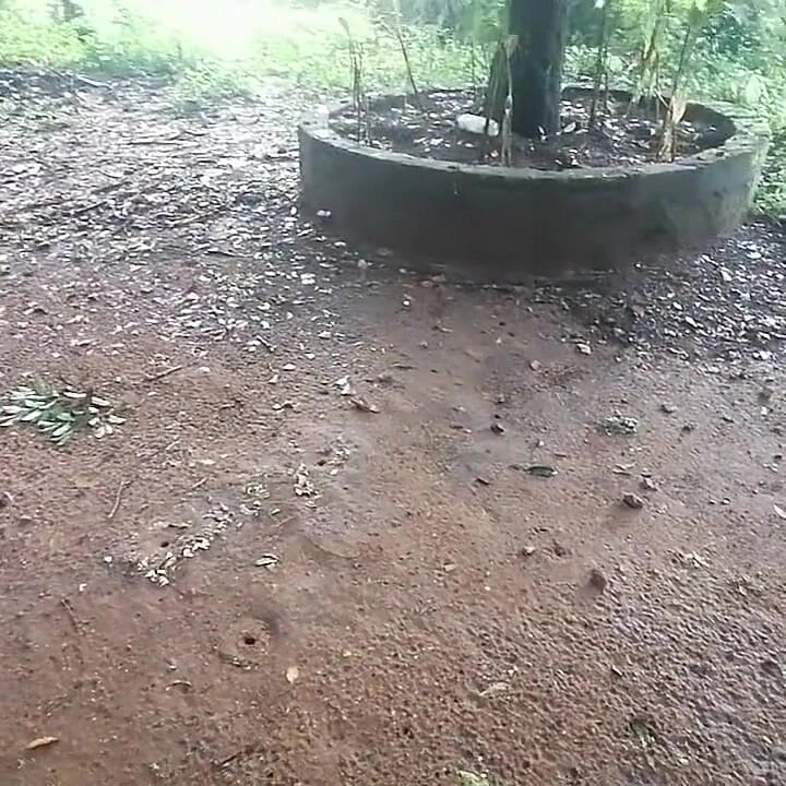 Baştan çıkarılmadan önce üvey kızım