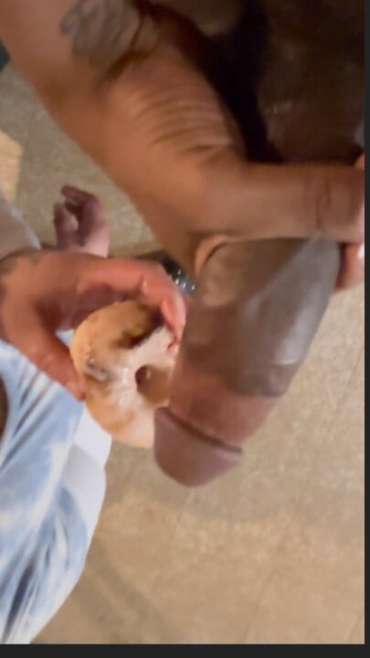 Donutumu sırılsıklam