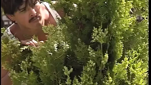 Kamu sikme açık havada içinde the bahçe