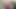 Hentai hustle - naruto'dan sakura haruno'nun pembe amını sikiyor