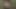 Fuck and Suck BIG Tits Stranger in Woods