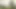 Stiptiz yaparken yakalandım