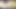 Hentai sansürsüz - shoko kütüphanede dizlerinin üzerinde sikiliyor ve emiyor - Japon Asyalı manga anime oyunu porno