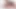 Yeni bir stripchat, Gigi ve Dave'den kısa canlı şov, web kamerası, bakış açısı, sahne arkası, ateşli transeksüel ve cis man,