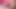 Orta yaşlı seksi kadın gırtlağına kadar yarak emiyor