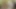 VIP4k. koca memeli hatun nasıl hızlı para kazanılacağını biliyor