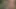 Çıplak evli kadın erkeklerin açık havada kocasının büyük kıllı götünü anal sikmesini istiyor.