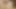 Seksi genç kız sert üçlü grup sekste götten sikiliyor