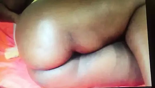 Büyük kahverengi Afrika etli