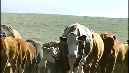 Sevimli iri güzel kadın